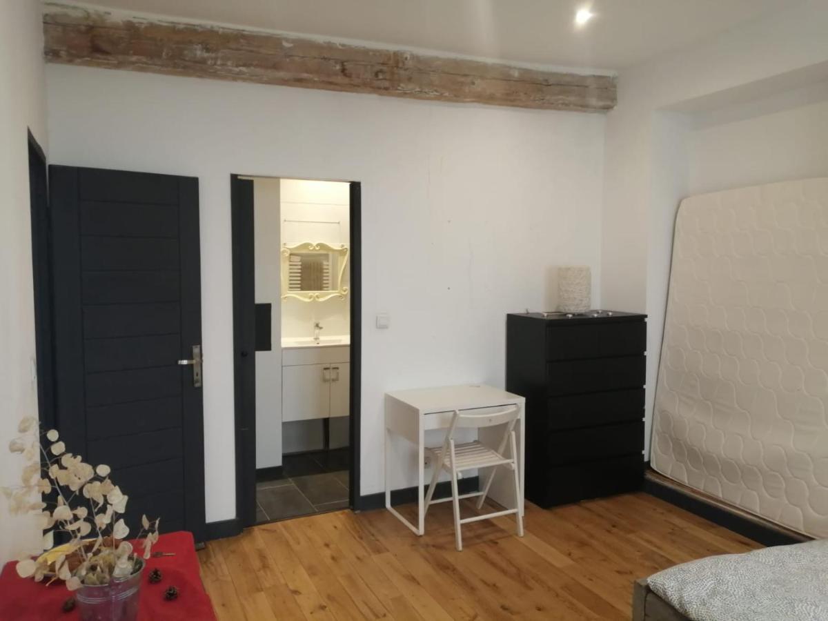 Loft Viarhona, Grand Loft En Centre-Ville Lyon Exteriör bild