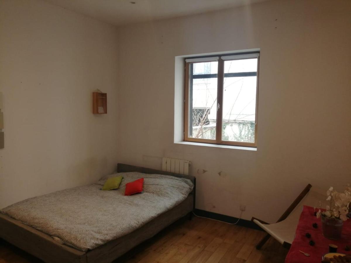 Loft Viarhona, Grand Loft En Centre-Ville Lyon Exteriör bild