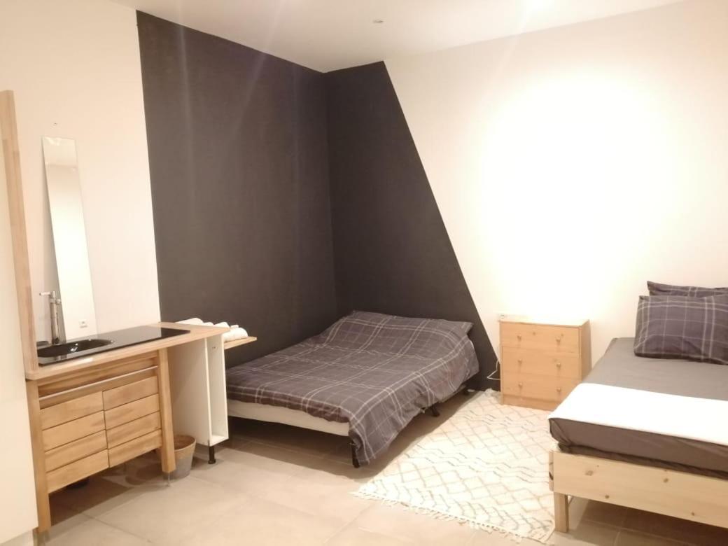 Loft Viarhona, Grand Loft En Centre-Ville Lyon Exteriör bild
